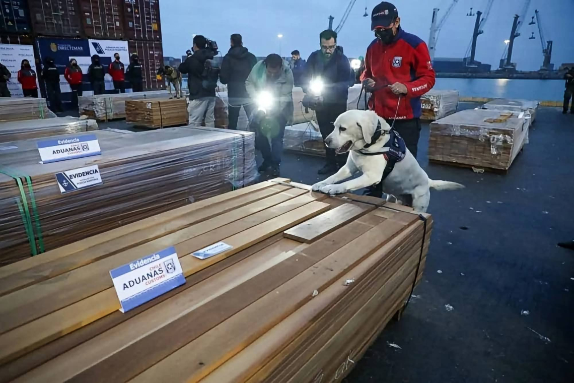 Gobierno promueve comisión internacional y esclarecer caso madera incautada en Chile