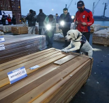 Gobierno promueve comisión internacional y esclarecer caso madera incautada en Chile