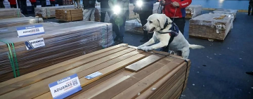 Gobierno promueve comisión internacional y esclarecer caso madera incautada en Chile