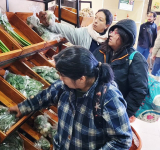 La UMSA redobla esfuerzos para llevar alimentos accesibles ante el agio y la especulación