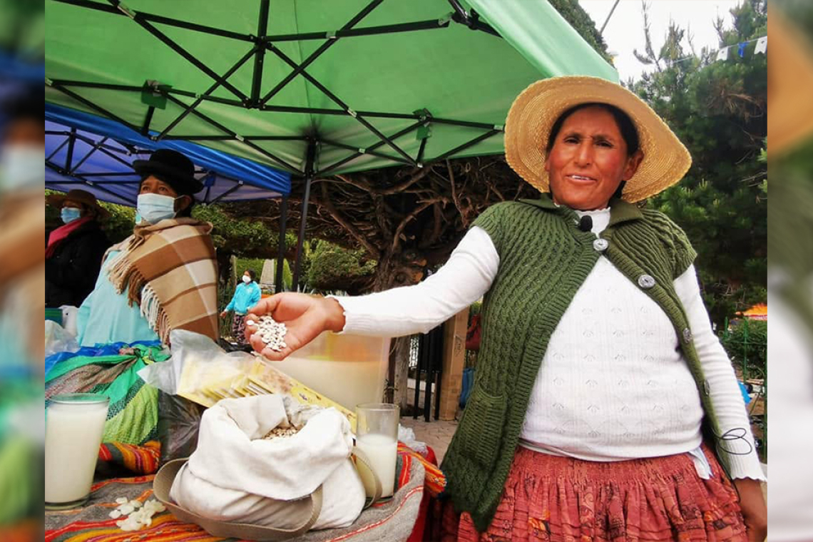 El tarwi busca recuperar su lugar en la mesa de los bolivianos