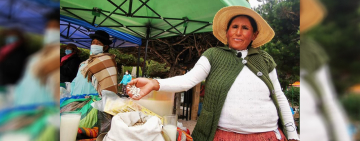 El tarwi busca recuperar su lugar en la mesa de los bolivianos