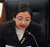 Asambleísta plantea una ley para abrogar “declaración en comisión” de dirigentes