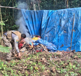 Marinos desmantelan cinco campamentos de minería ilegal en área protegida del Madidi