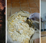 FELCN aprehende a cinco personas y destruye diez fábricas móviles de cocaína en Cochabamba