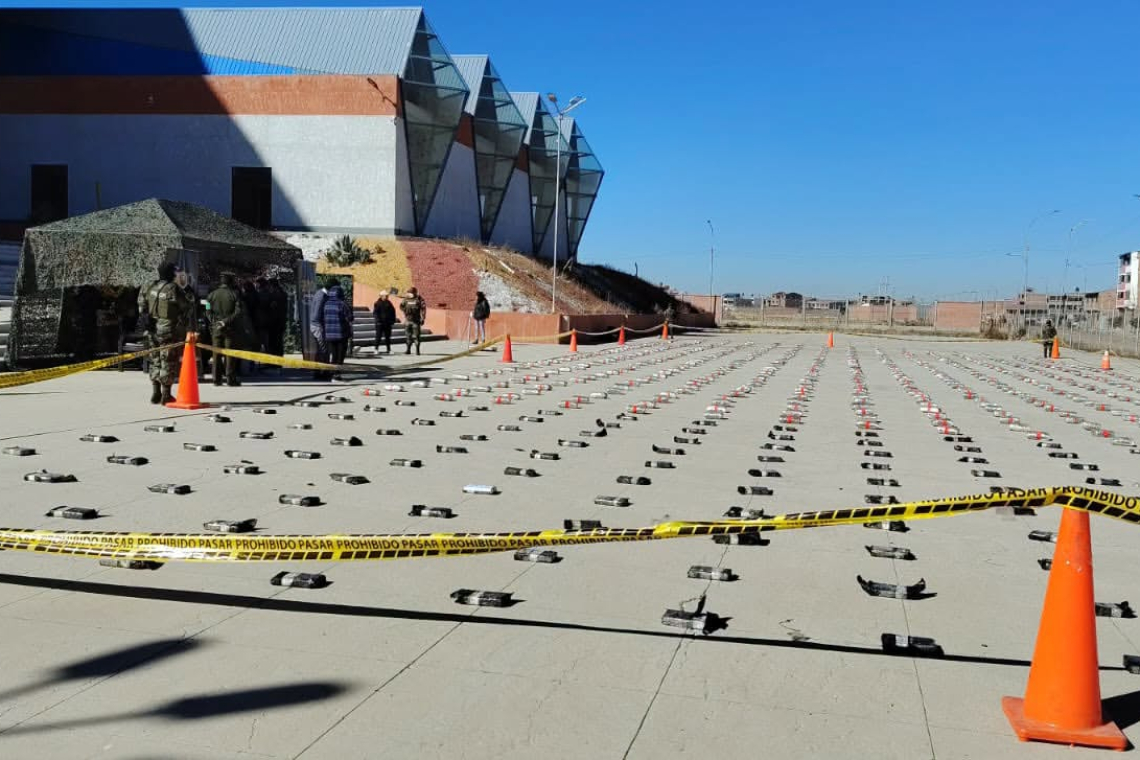 La FELCN afecta con $us1.146.109 la incautación de cocaína y marihuana