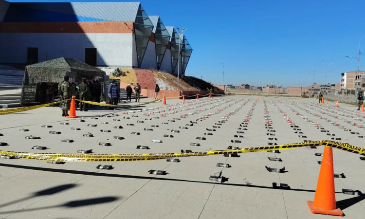 La FELCN afecta con $us1.146.109 la incautación de cocaína y marihuana