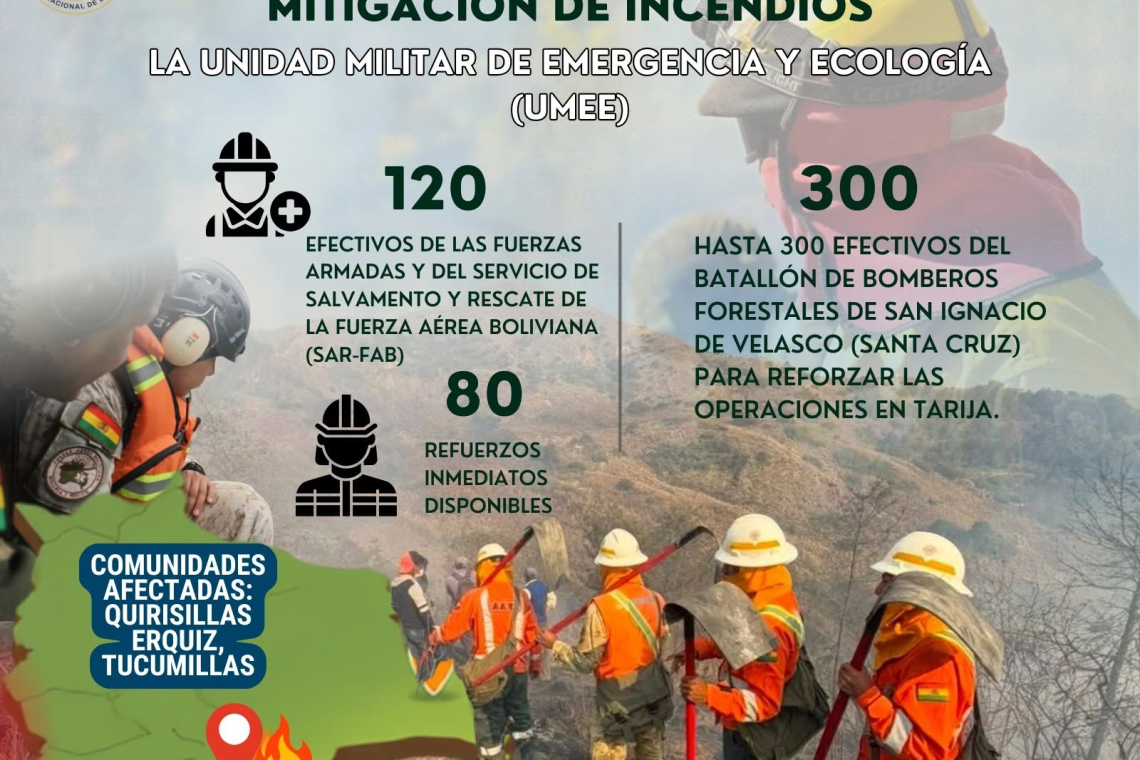 Presidente pide investigar el origen de incendios ante sospechas de focos provocados