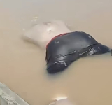 Navales recuperan cuerpo sin vida de persona reportada como desaparecida en el Río Madre de Dios