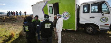 Fiscalía reporta 57 Feminicidios en Bolivia, esta semana ocurrieron dos casos