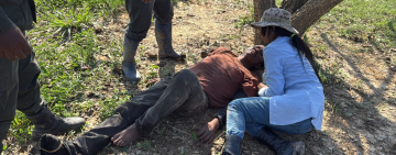 Hallan con vida y herido a Fiscal, Huchani en la estancia Cachaschane 