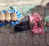 Secuestran quirquinchos y ranas disecadas en el mercado Las Brujas de La Paz