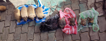 Secuestran quirquinchos y ranas disecadas en el mercado Las Brujas de La Paz