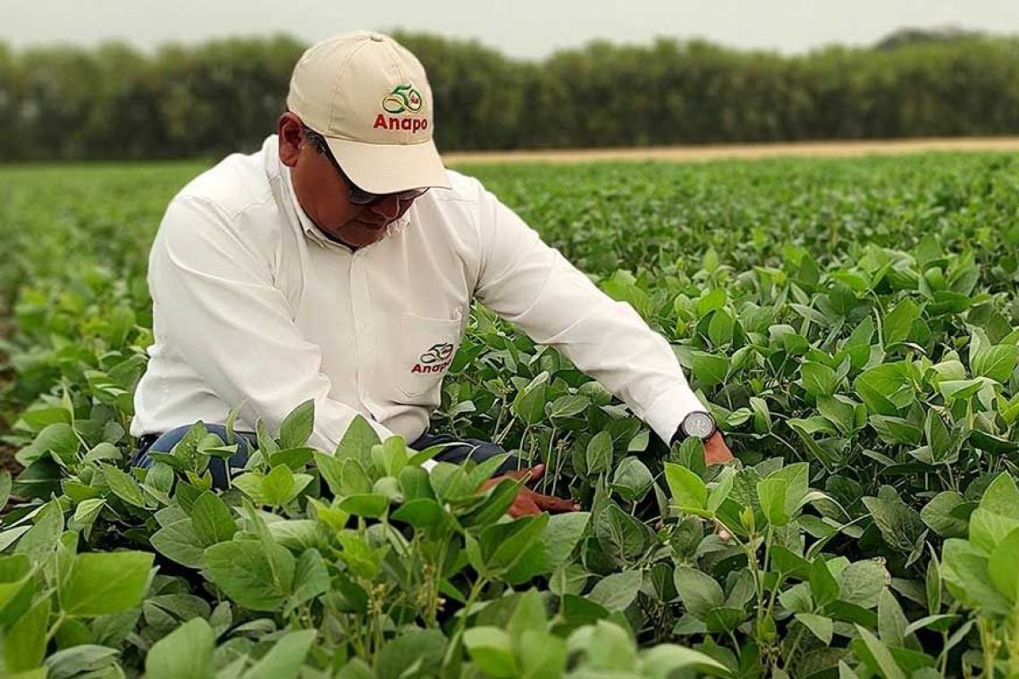  Anapo organiza en Santa Cruz el primer Congreso Internacional de Agricultura Sostenible 