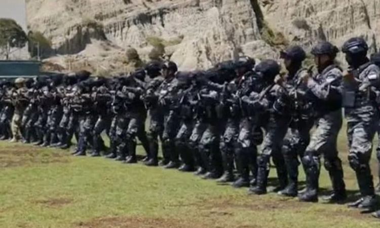 Gobierno y Policía reforzarán la capacidad operativa en la ofensiva contra el crimen en fronteras