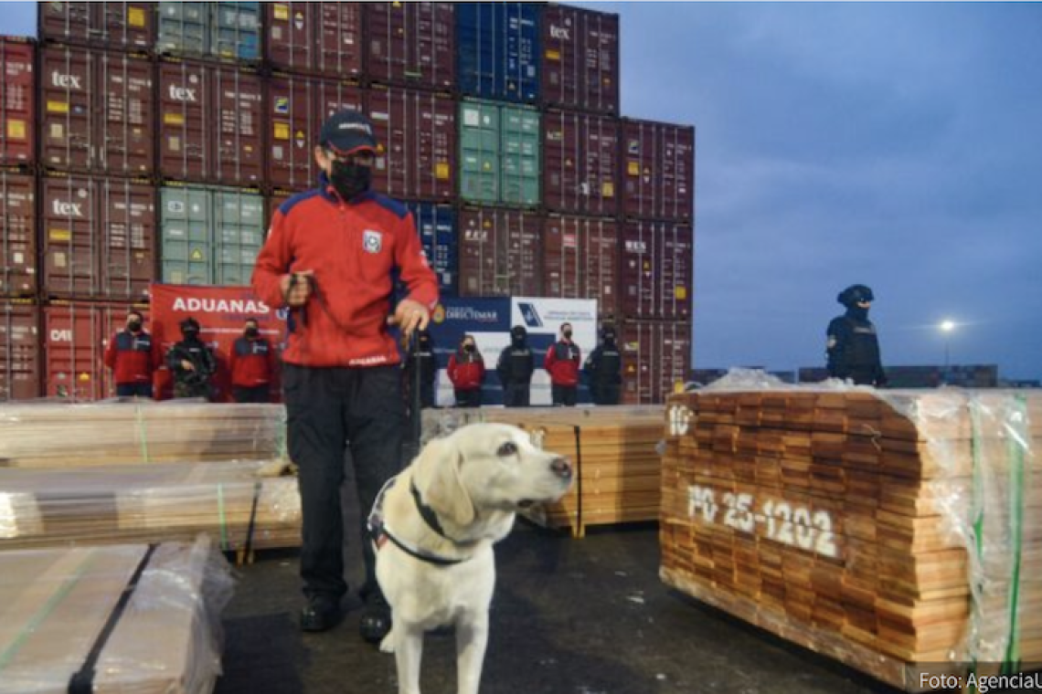 Narcomaderas: juez ordena suspender quema de evidencia en puertos de Arica, Valparaíso y San Antonio