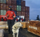 Narcomaderas: juez ordena suspender quema de evidencia en puertos de Arica, Valparaíso y San Antonio
